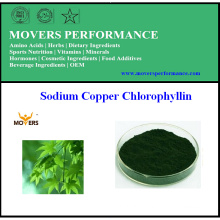 Qualité supérieure Nature Chlorophylline à base de sodium